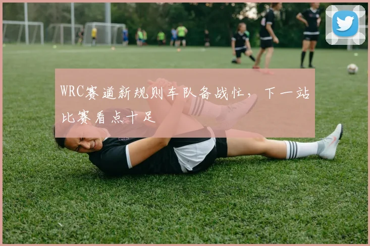 WRC赛道新规则车队备战忙，下一站比赛看点十足