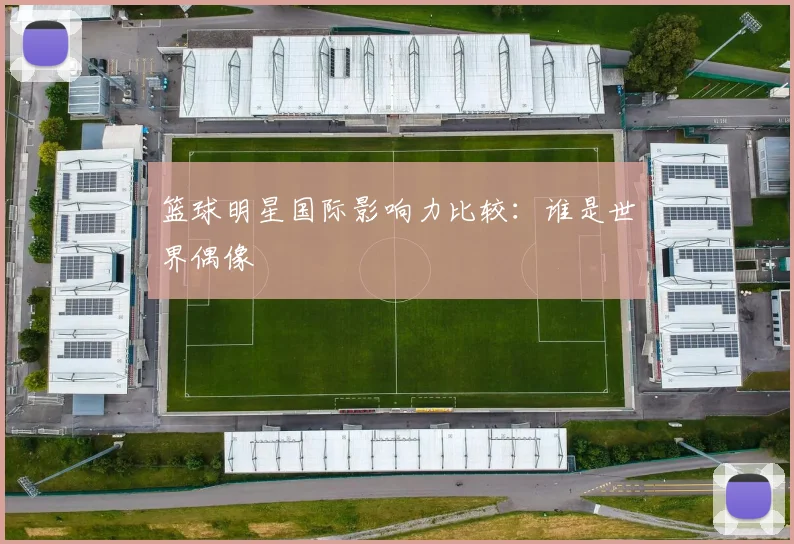 篮球明星国际影响力比较：谁是世界偶像